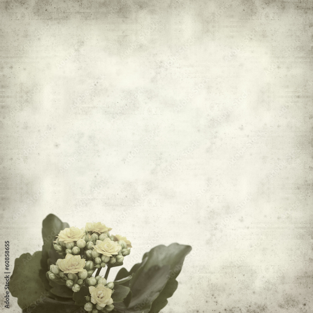 textured old paper background textured old paper background