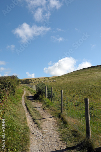 Coastal path above Llangrannog. Cardigan Bay