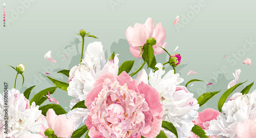 Pink and white peony background #60860467