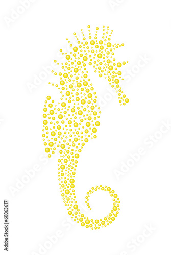 Seahorse