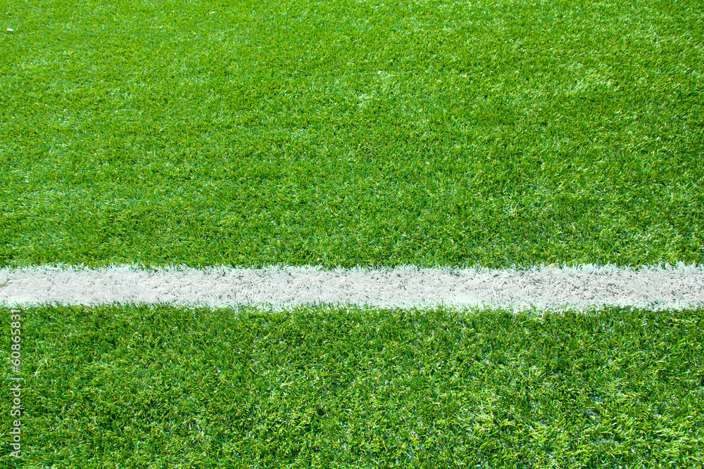 Fototapeta premium Artificial grass with white stripe