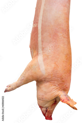 Slaughtered pig photo