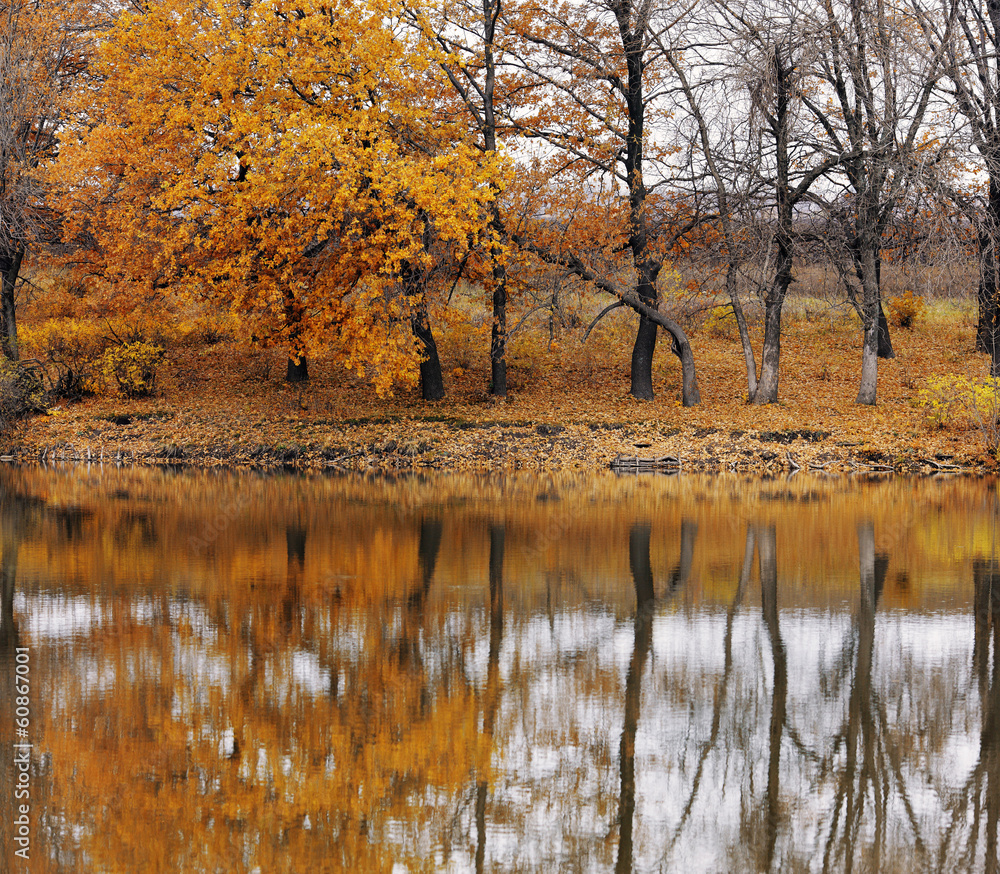 Fototapeta premium Autumn landscape on the lake