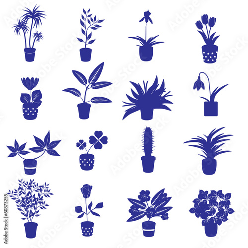 Fototapeta Naklejka Na Ścianę i Meble -  home houseplants and flowers in pot eps10