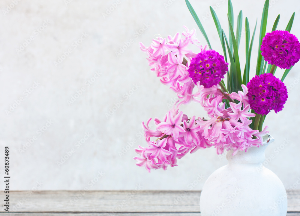 spring flowers on white background spring flowers on white background