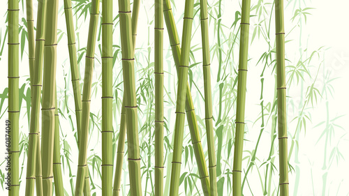 Naklejka Horyzontalna ilustracja z wiele bambusami.