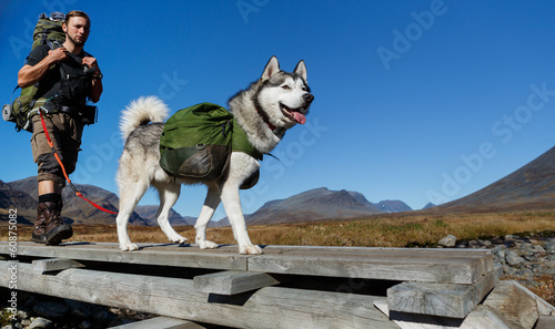 Trekking with dog in Sweden