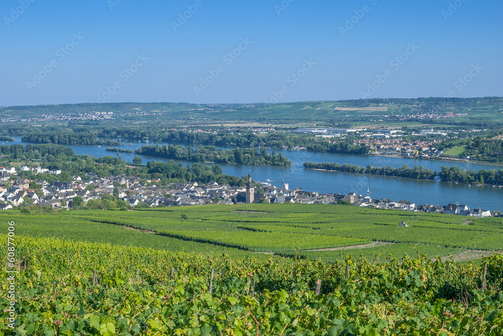 der berühmte Weinort Rüdesheim am Rhein im Rheingau