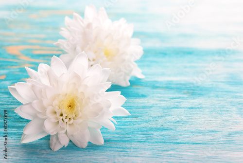 White Blossoms © Nelos