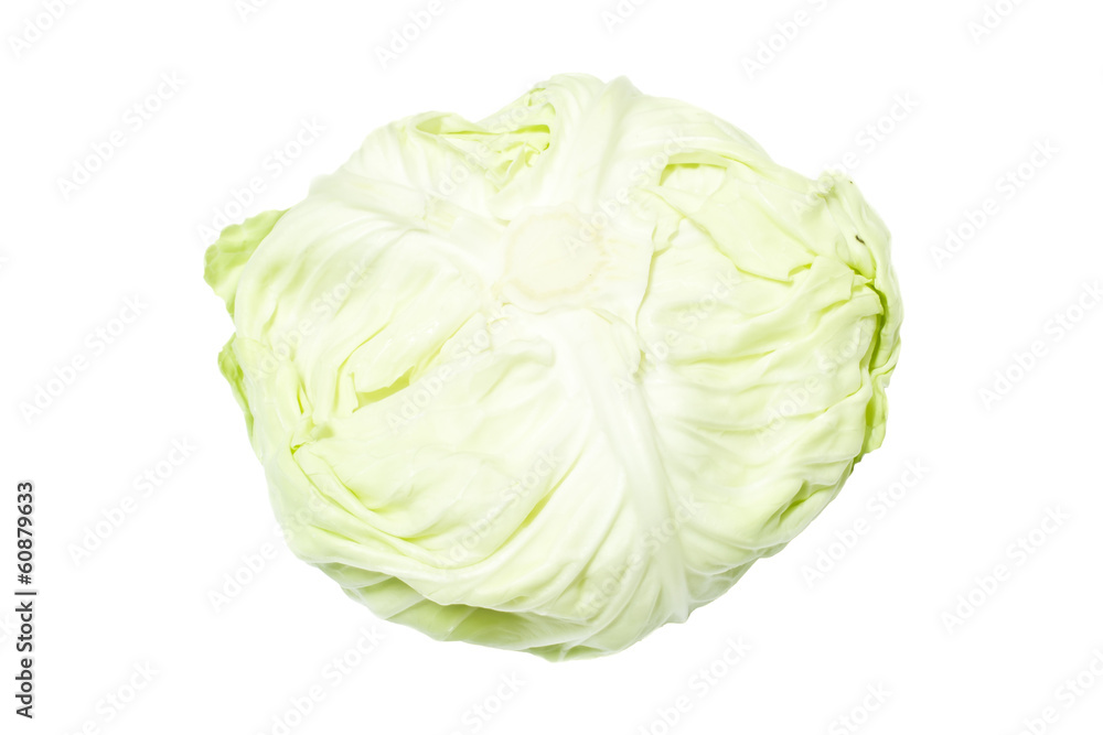cabbage cabbage