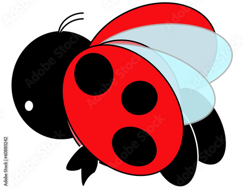 Coccinella Muriel