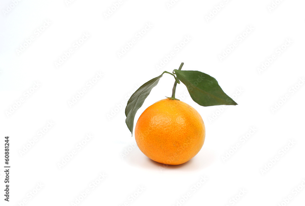 Ripe tangerine over white Ripe tangerine over white