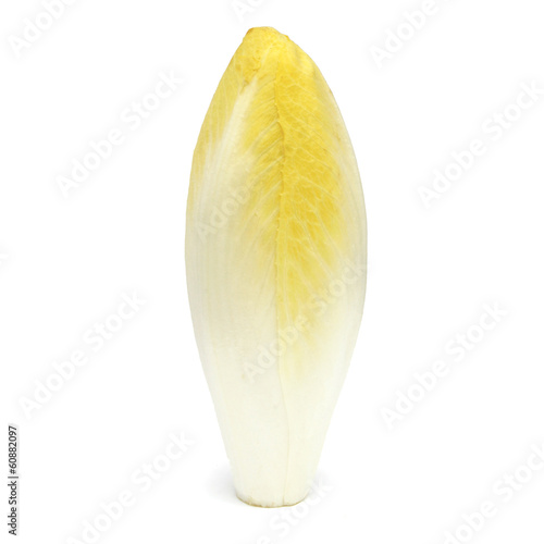 Fotografie Endive - Chicory - Chicon - Witloof