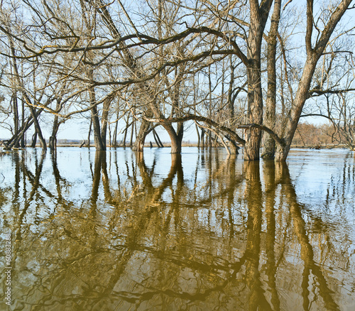 Bild auf Leinwand Spring flood