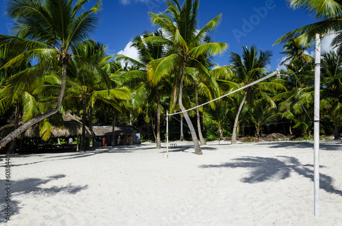 Volleyball on the beach among palm trees