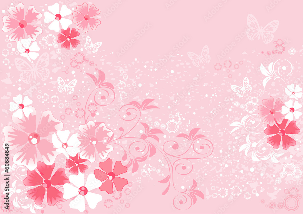 pink flowers sakura, illustrations