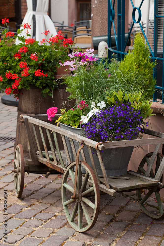 Old Wooden cart with plants in pots
