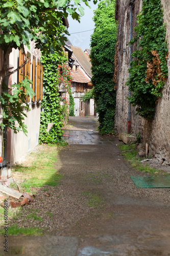 Fototapeta Naklejka Na Ścianę i Meble -  Street with half-timbered medieval houses in Eguisheim