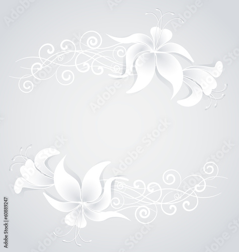 White lilies