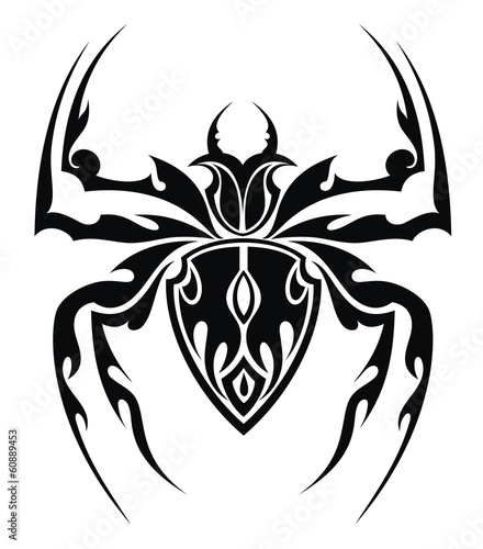 Spider tattoo