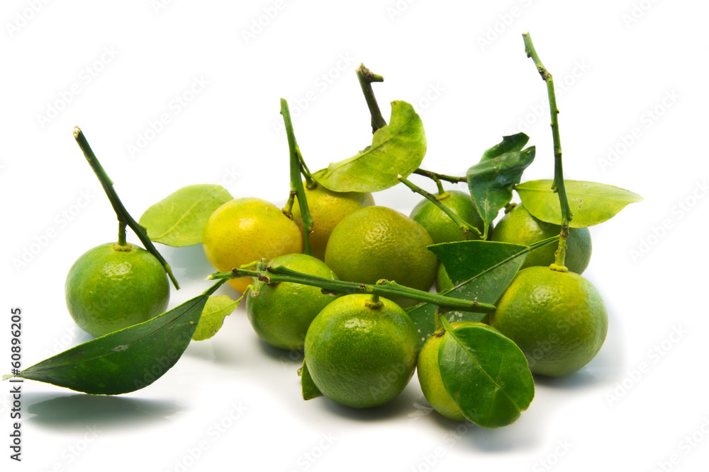 Obraz premium oranges fruits isolated on white. .
