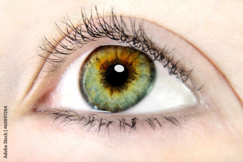 Fototapeta premium eye close up