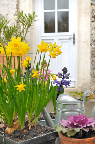 floraison printanière