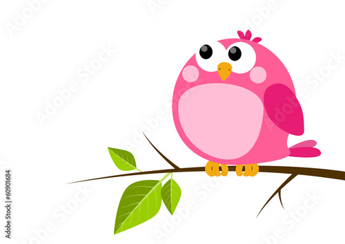 Cute pink bird on spring branch