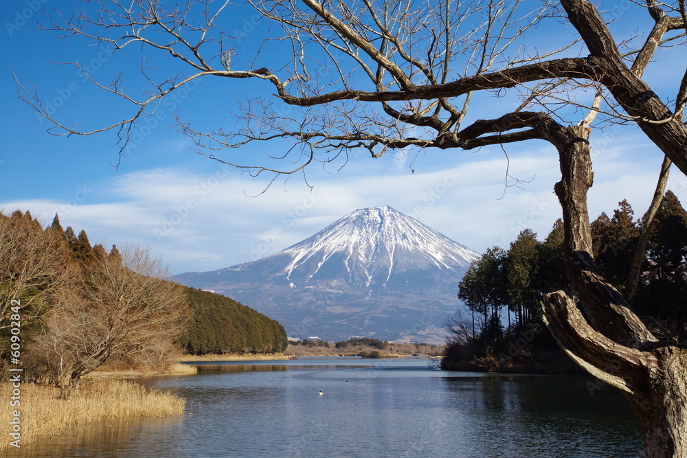 Mountain Fuji in winter season