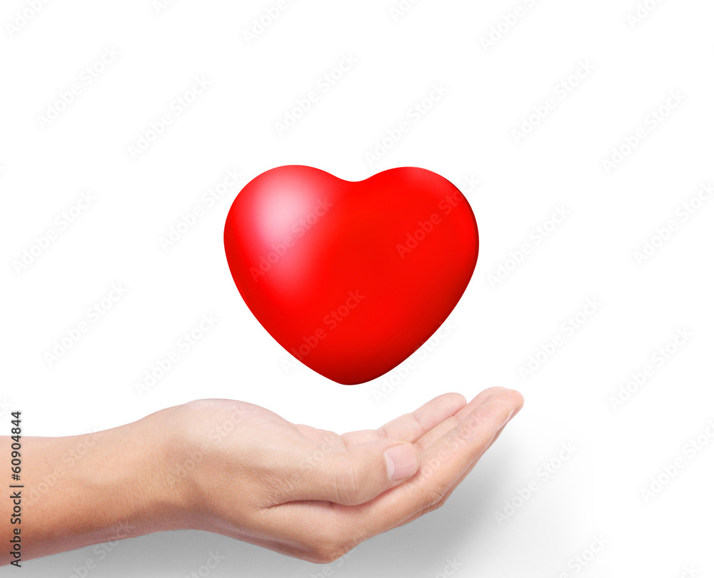 Heart in the hands Heart in the hands