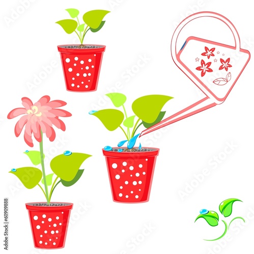 Illustrations with flower and watering can