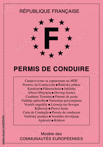 Permis de conduire français