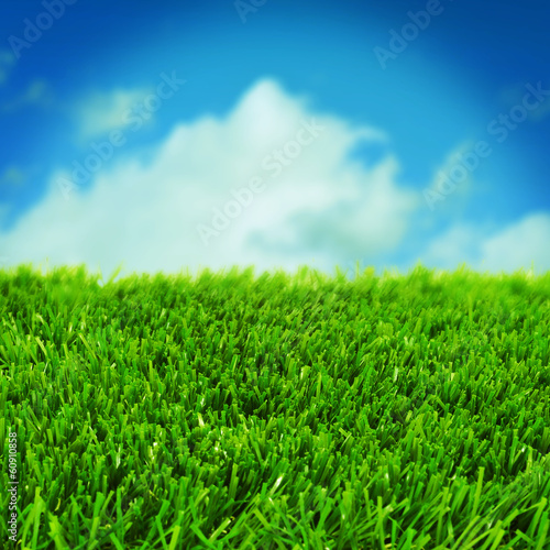 grass and the sky