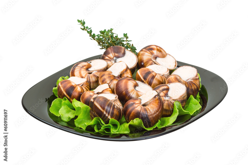 Escargot Escargot