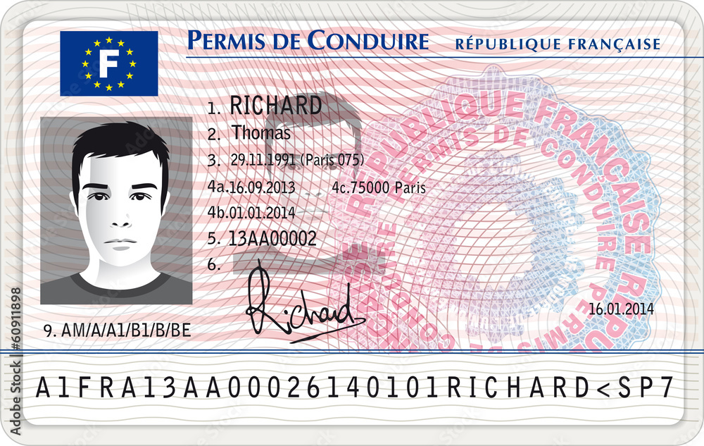 Nouveau permis de conduire français Stock Vector