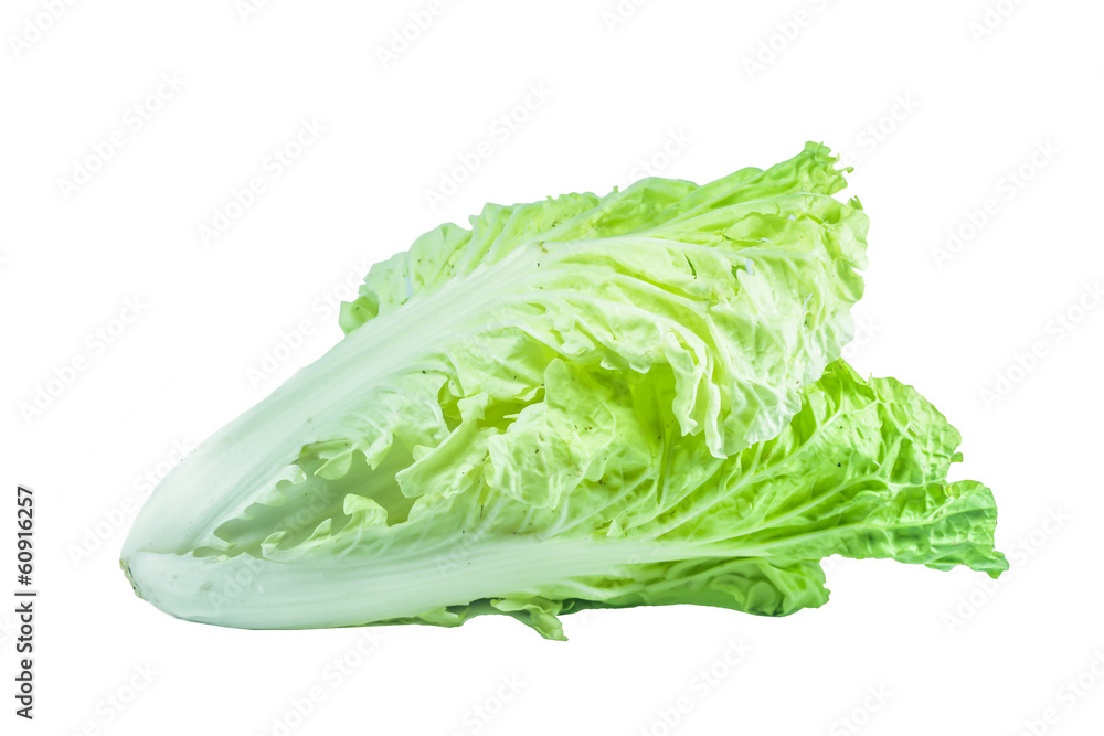 chinese cabbage isolated on white background chinese cabbage isolated on white background