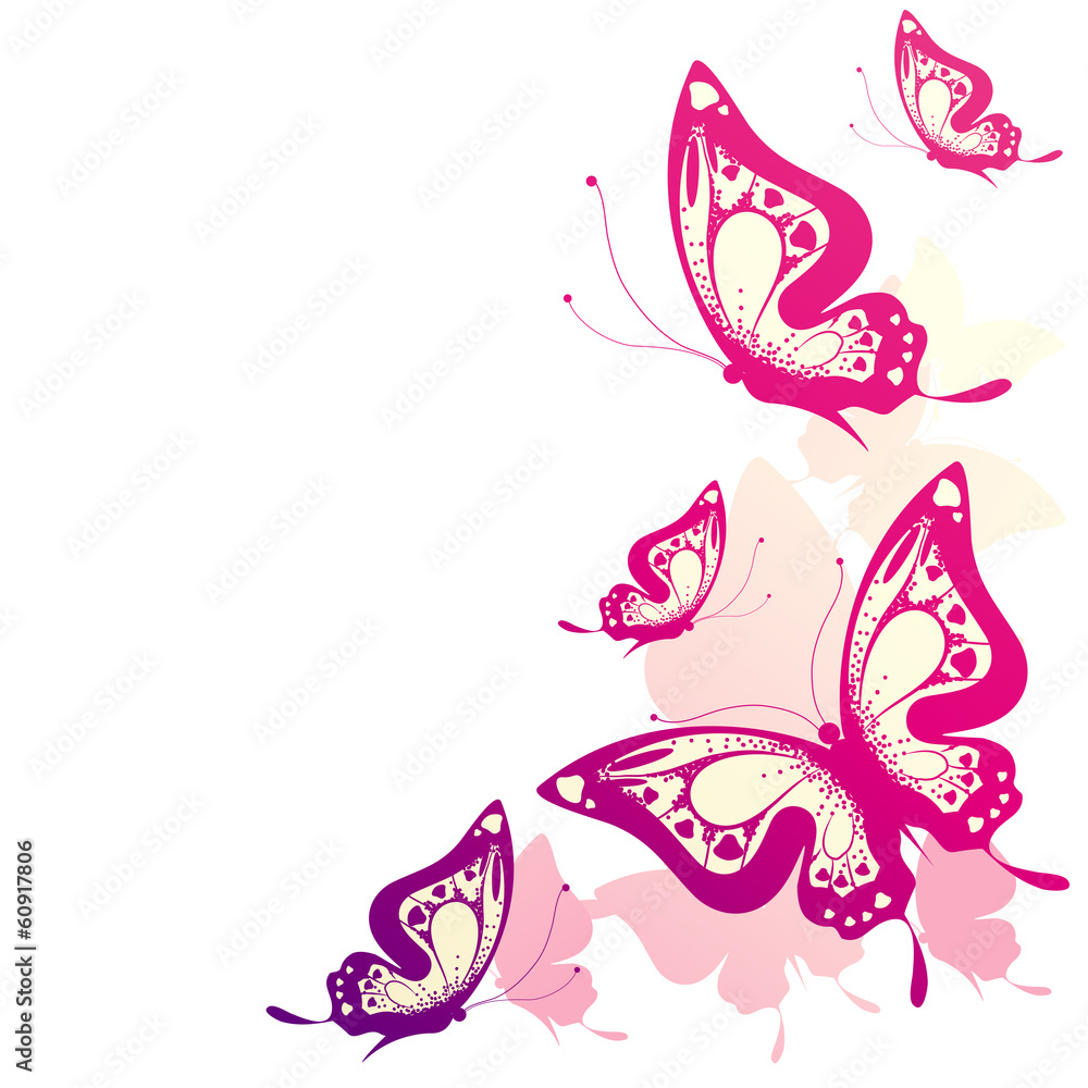 butterflies design butterflies design