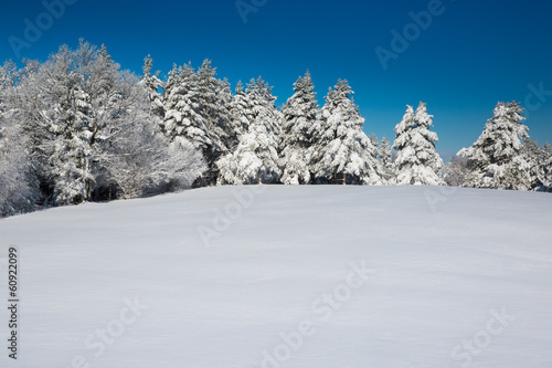 Idyllic winter scene with forest and fresh snow