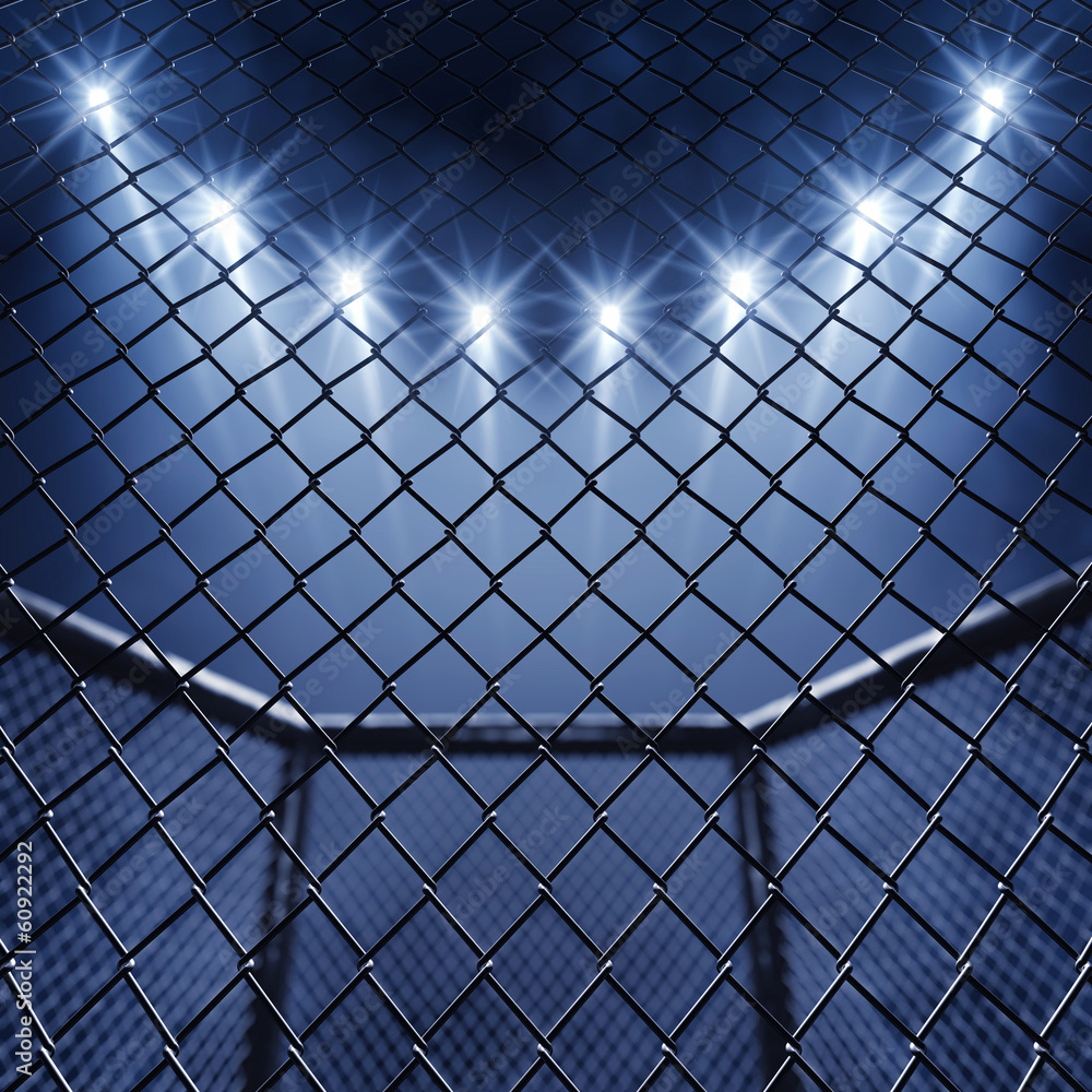 Fototapeta MMA cage and floodlights