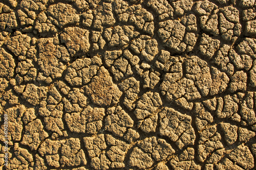 Dry arid soil with cracks