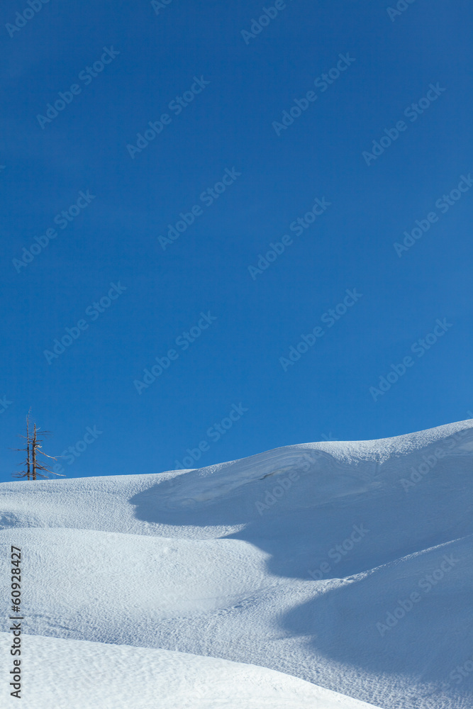 Winter landscape with snow and blue sky
