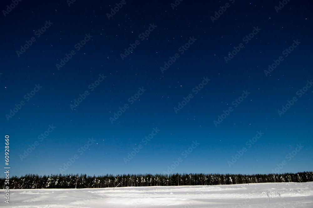 Night winter scene with starry sky