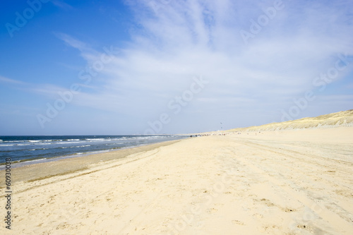 Beach on North Sea  the Netherlands