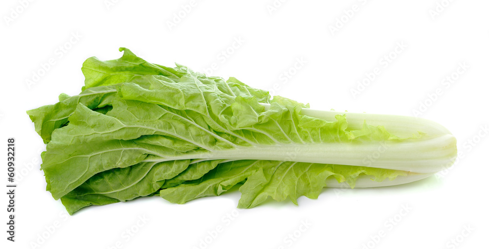 lettuce leaves isolated on white background lettuce leaves isolated on white background