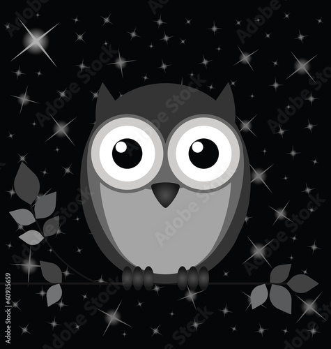 Owl against a starry black night sky