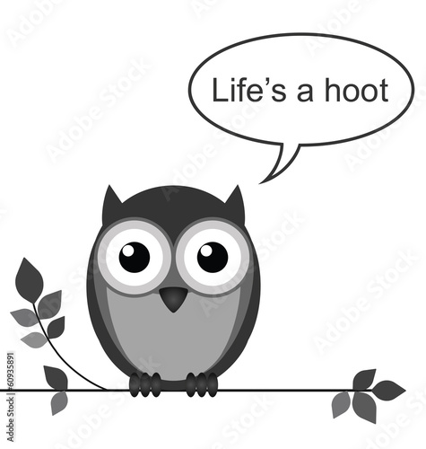 Life is a hoot owl message