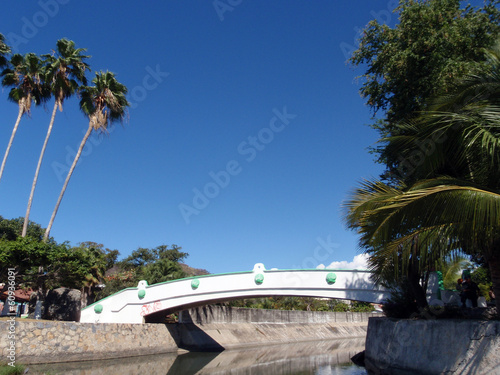 engineered stream with bridge passing over and palm trees in tow
