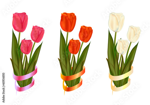 A set of spring tulips in three color variations