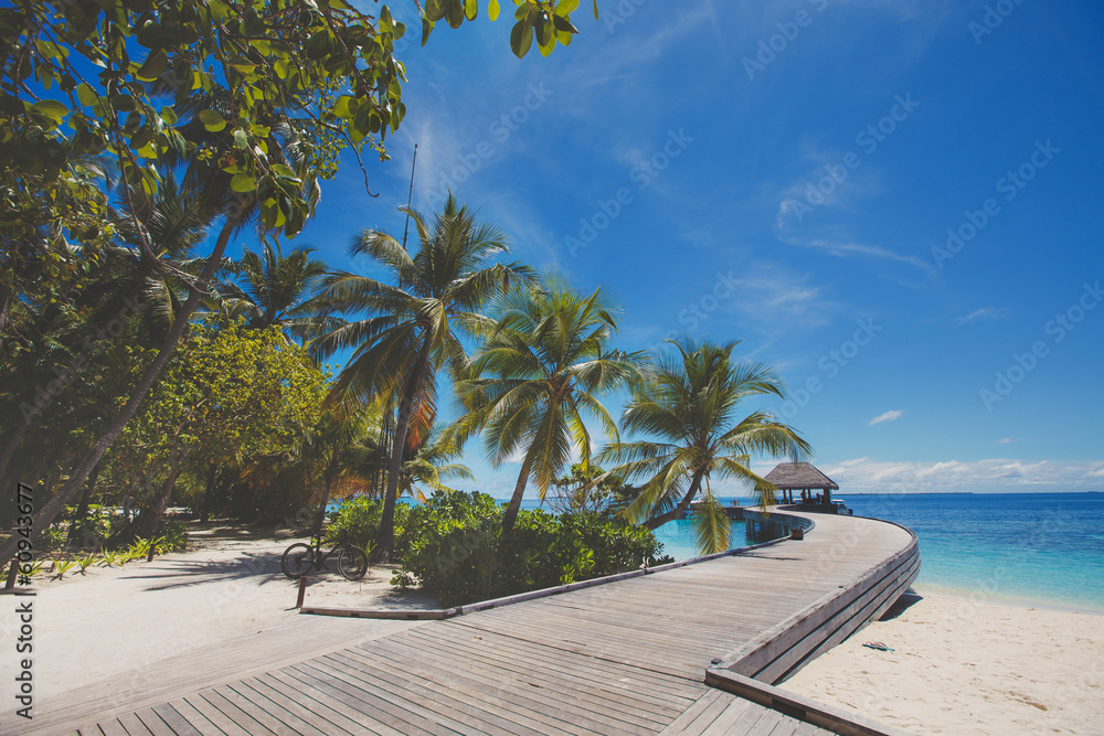 Landscape of tropical island beach, palm trees, buildings
