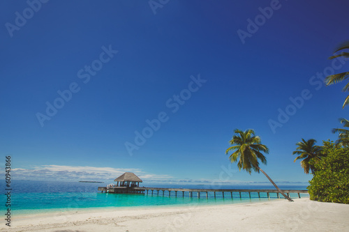 Fototapeta Naklejka Na Ścianę i Meble -  Landscape of tropical island beach, palm trees, buildings